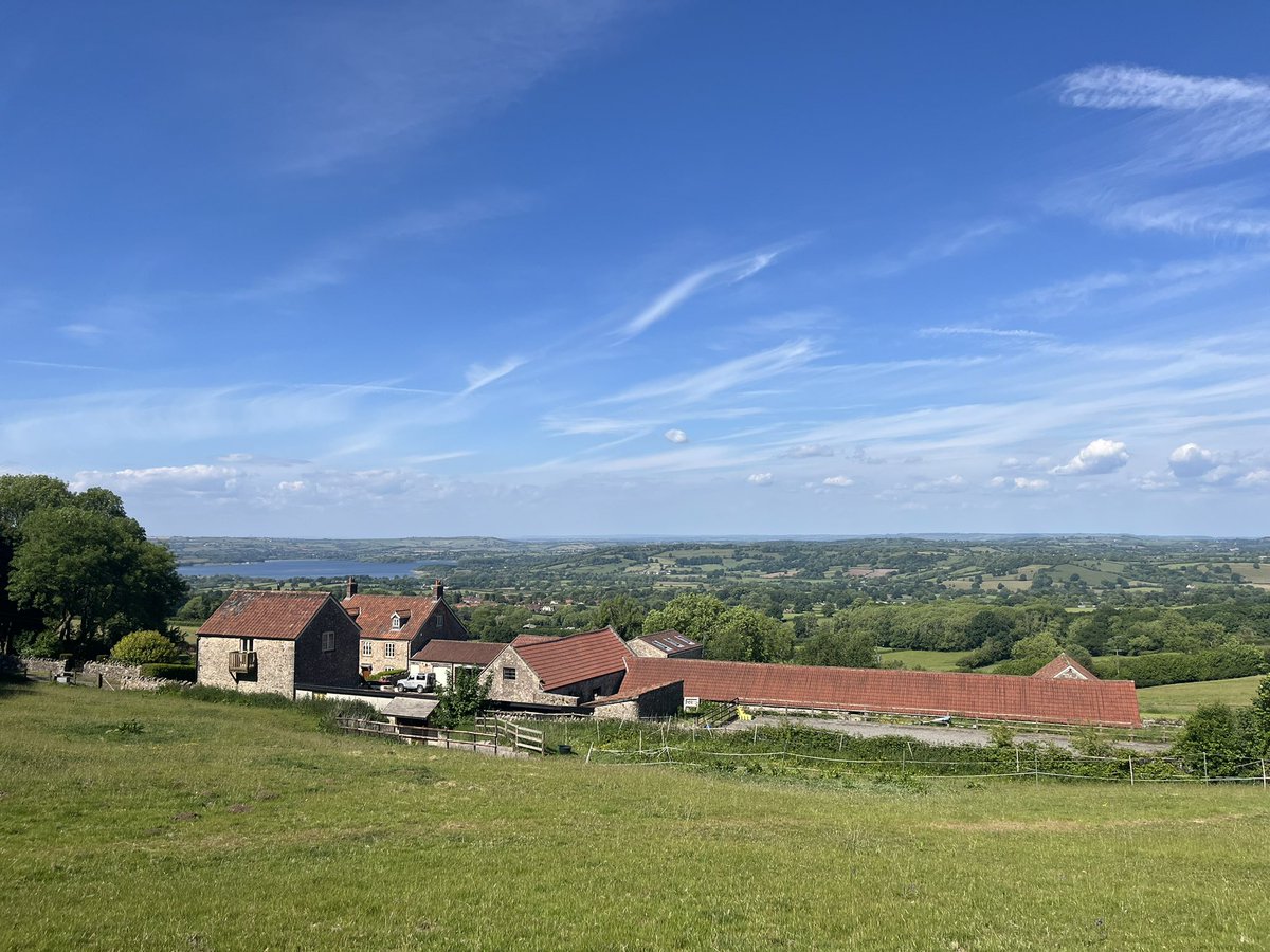 Hanham Woods D of E tweet media