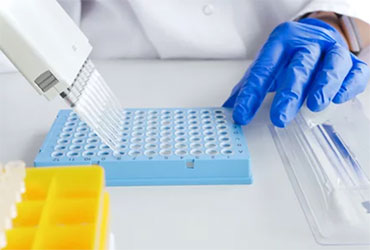 The use of PCR-guided therapy can significantly enhance the detection and management of complicated urinary tract infections. 

 idse.net/a/Oi0BAA/t