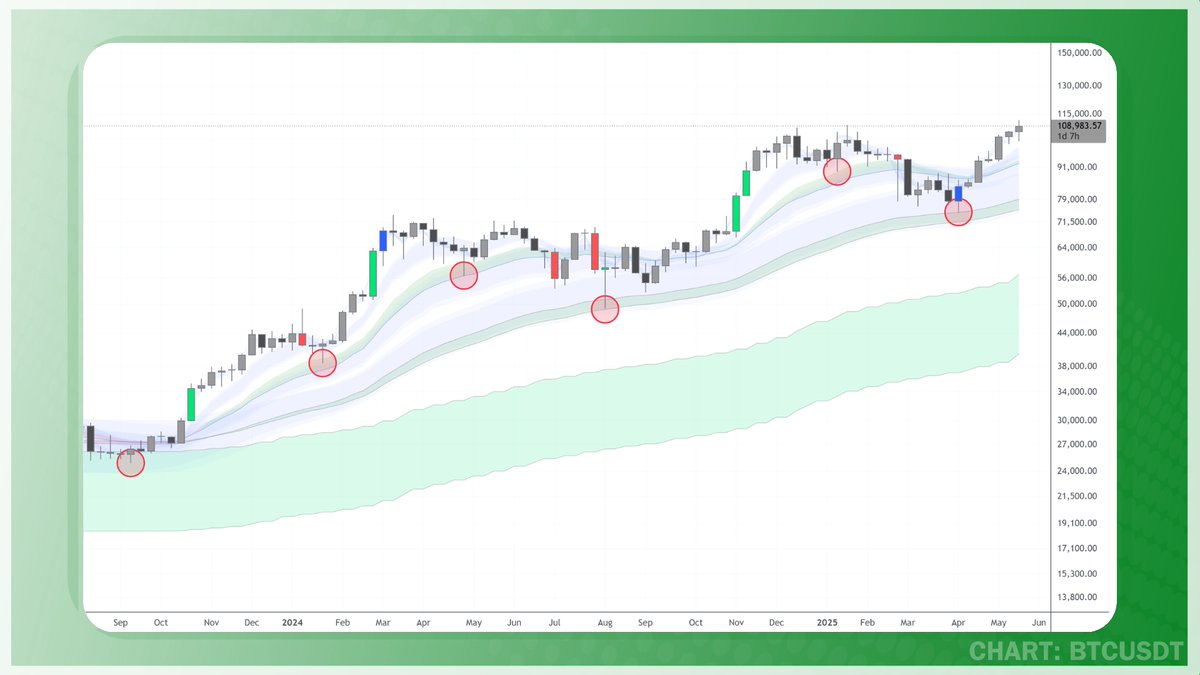 Peter Inspi tweet media