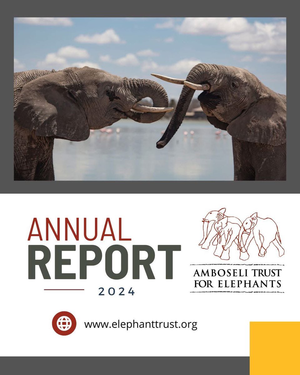 Our 2024 Annual Newsletter is now live. Explore the latest insights into elephant population dynamics, along with highlights from our research and outreach over the past year. 

Read the report: elephanttrust.org/wp-content/upl…