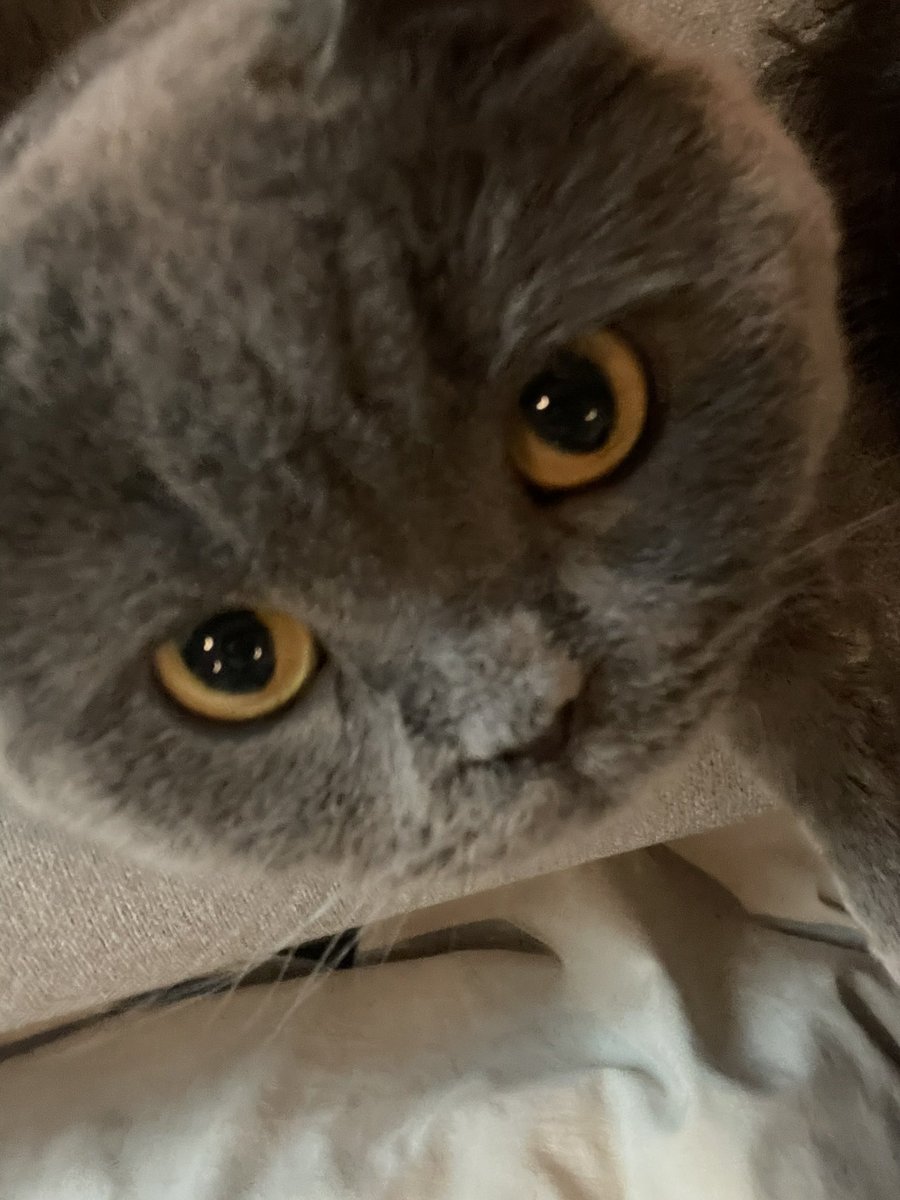 First playoffs berth as an org for SR

Let’s make it a good one 🤞