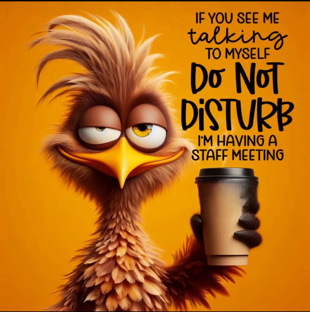 Good moaning folks