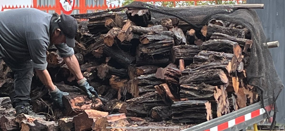 En #Chiloe el bosque de tepu (por su poder calórico) es uno de los mas requeridos para la calefacción de los hogares chilotes,por ello esta especie y otras del bosque nativo han disminuido considerablemente.