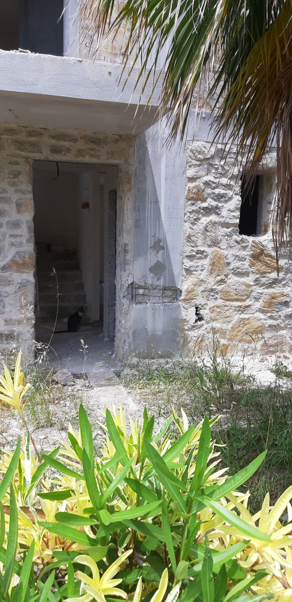 karaincir48's tweet photo. Kaçak villalarda evlerin dış cephelerinde kolon ve kirişlerde projesine uygun  olup olmadığını tespit için sıyırma kazıları yapılmış , ancak ince işler tam gaz devam ediyor.Bilinen onaylı proje olmadığına göre minare çalındı kılıf mı hazırlanıyor ?@datcabelediyesi @MuglaCevre https://t.co/BGNq2wBRIr