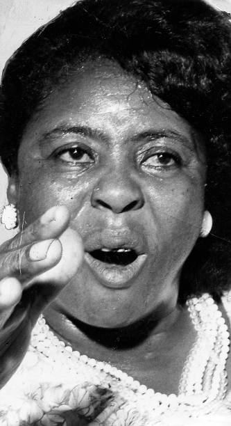 "We know as well as you know that this country was built on the blood &amp; the sweat of Black people. And all we are saying to you...now what you have done in the past, you've done that. But we can't let you get away with just trying to wipe us out as human beings." - F.L. Hamer
