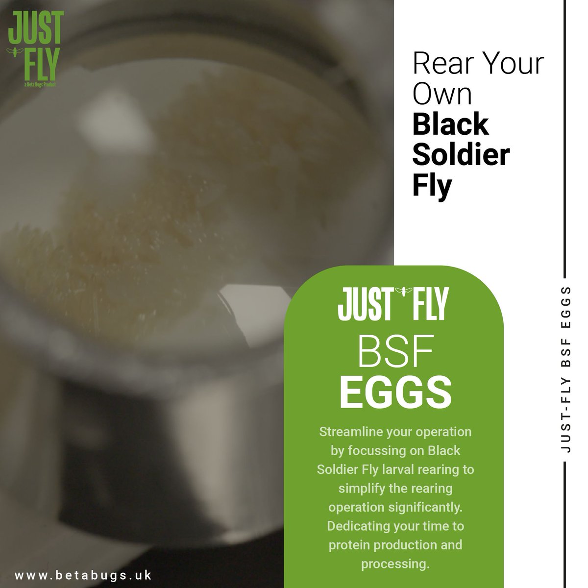 Beta Bugs Ltd. (@betabugsltd) on Twitter photo Enhance the productivity of your #insectfarming operation with JustFly® #BSF eggs from Beta Bugs. Our BSF eggs are produced under #biosecure conditions and designed for #adaptability across #diverse #farmingsystems & climates.
For more info, get in touch at info@betabugs.uk Enhance the productivity of your #insectfarming operation with JustFly® #BSF eggs from Beta Bugs. Our BSF eggs are produced under #biosecure conditions and designed for #adaptability across #diverse #farmingsystems & climates.
For more info, get in touch at info@betabugs.uk