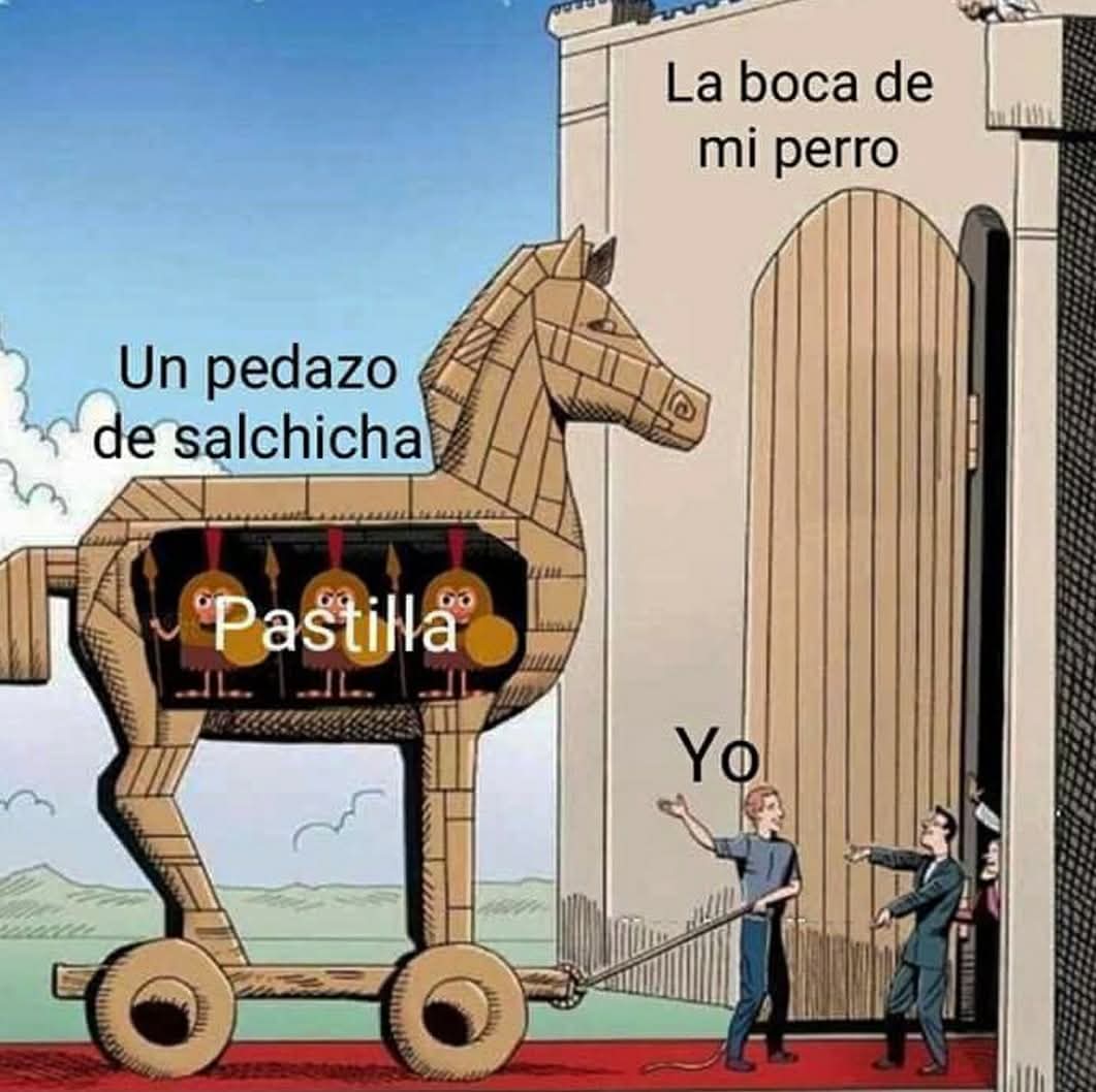 ymuchosmemes's tweet image. 