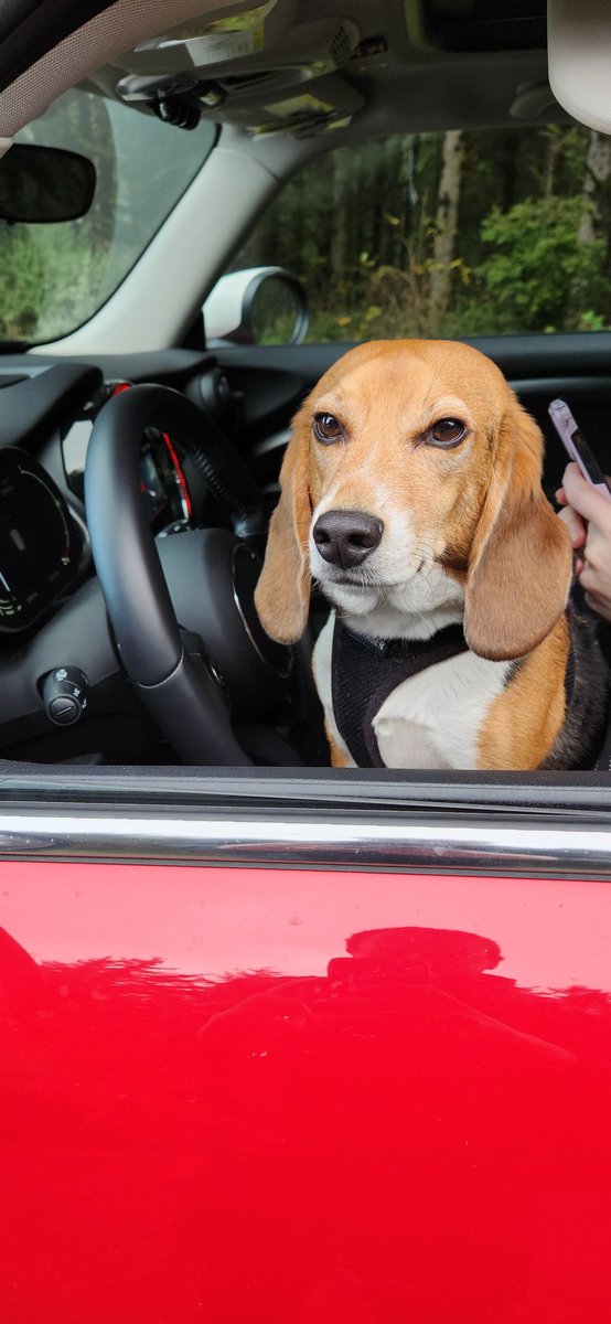 <a href="/beaglefacts/">Beagle Facts</a> <a href="/itsjordannh/">Jordan</a> Get in, loser