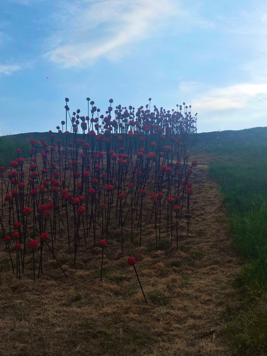 HMS_Collingwood's tweet photo. 800 poppies.
Each a tribute to a civilian life lost.
Now, a hill of red blooms over Rue de Assiens, not just flowers, but a memory made visible.
In Dunkirk, we remember them.
In silence, in sorrow, in steadfast honour.
#InTheirName #PoppiesForPeace #NeverForgotten #Dunkirk85 https://t.co/MeVNIxnKSw