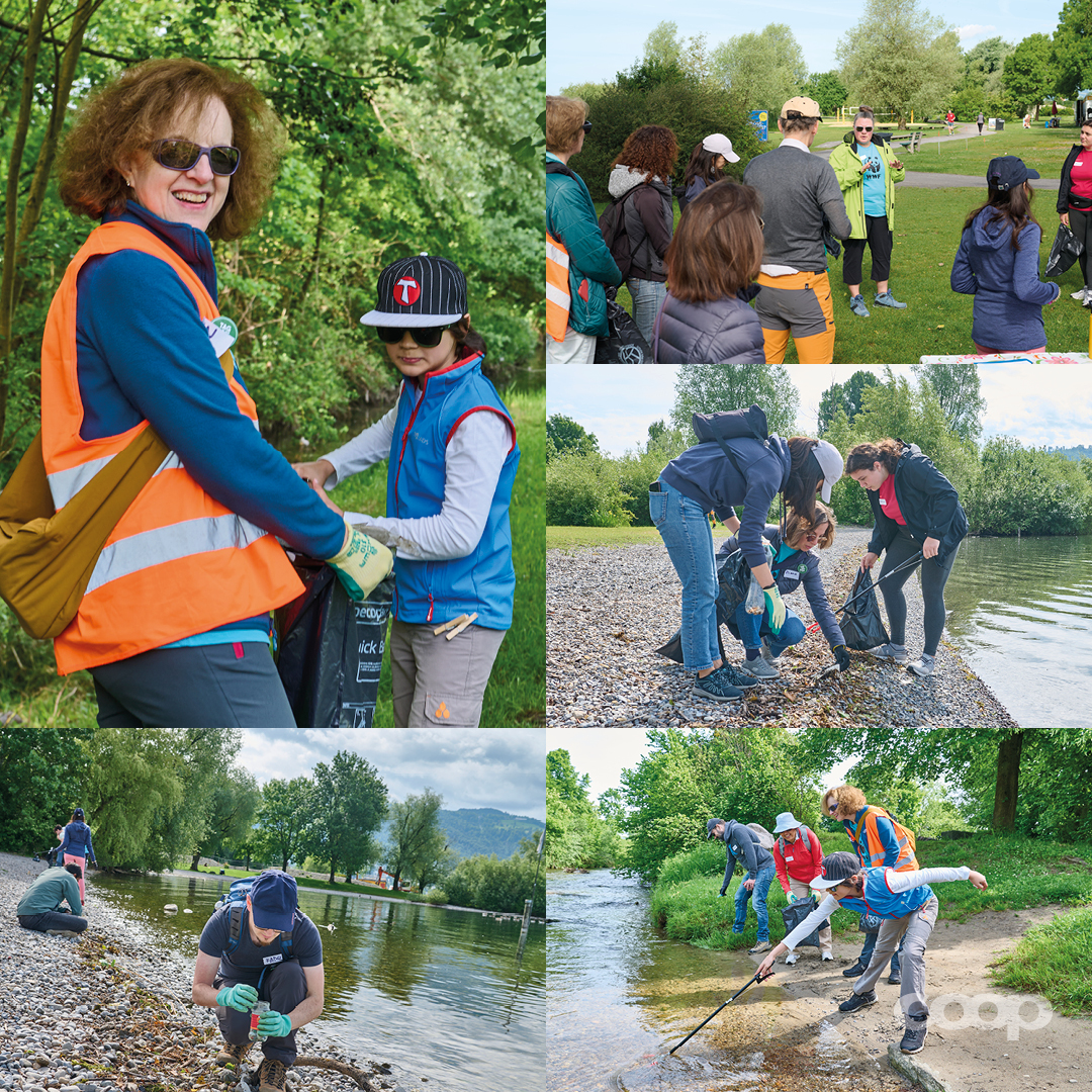 coop_ch (@coop_ch) on Twitter photo <a href="/WWF_Schweiz/">WWF Schweiz</a> organisiert am #TagdergutenTat Clean-ups in der ganzen Schweiz🧹. Dabei werden See- und Flussufer gesäubert sowie Felder gejätet und gepflegt. Der gesammelte Abfall wird fachgerecht getrennt und entsorgt ♻️. #CoopCH <a href="/WWF_Schweiz/">WWF Schweiz</a> organisiert am #TagdergutenTat Clean-ups in der ganzen Schweiz🧹. Dabei werden See- und Flussufer gesäubert sowie Felder gejätet und gepflegt. Der gesammelte Abfall wird fachgerecht getrennt und entsorgt ♻️. #CoopCH