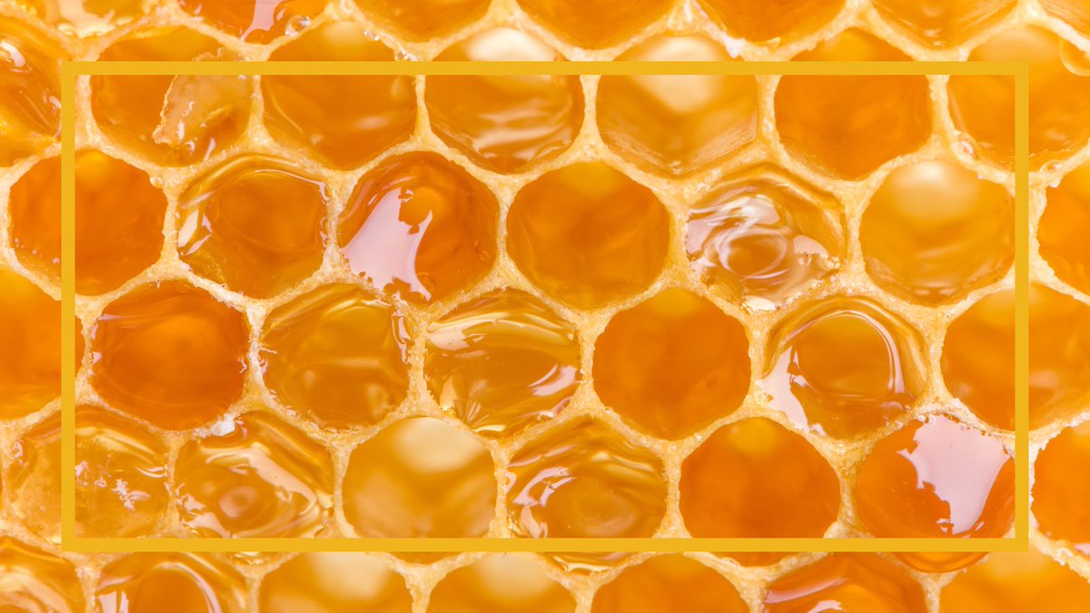 Spring is here, bringing pollinators and math buzzing all around us! 🐝 Did you know bees build their honeycombs using perfect hexagons? Hexagons use the least wax to create the most space. Nature truly knows its geometry! #WeekendWondering