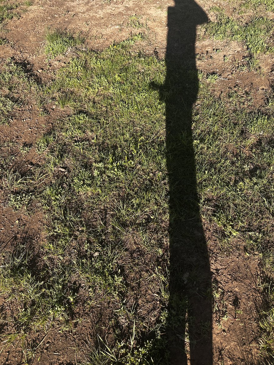 FunBisex's tweet photo. @COWildGirl Love being naked outdoors https://t.co/T1KcJUSLPl