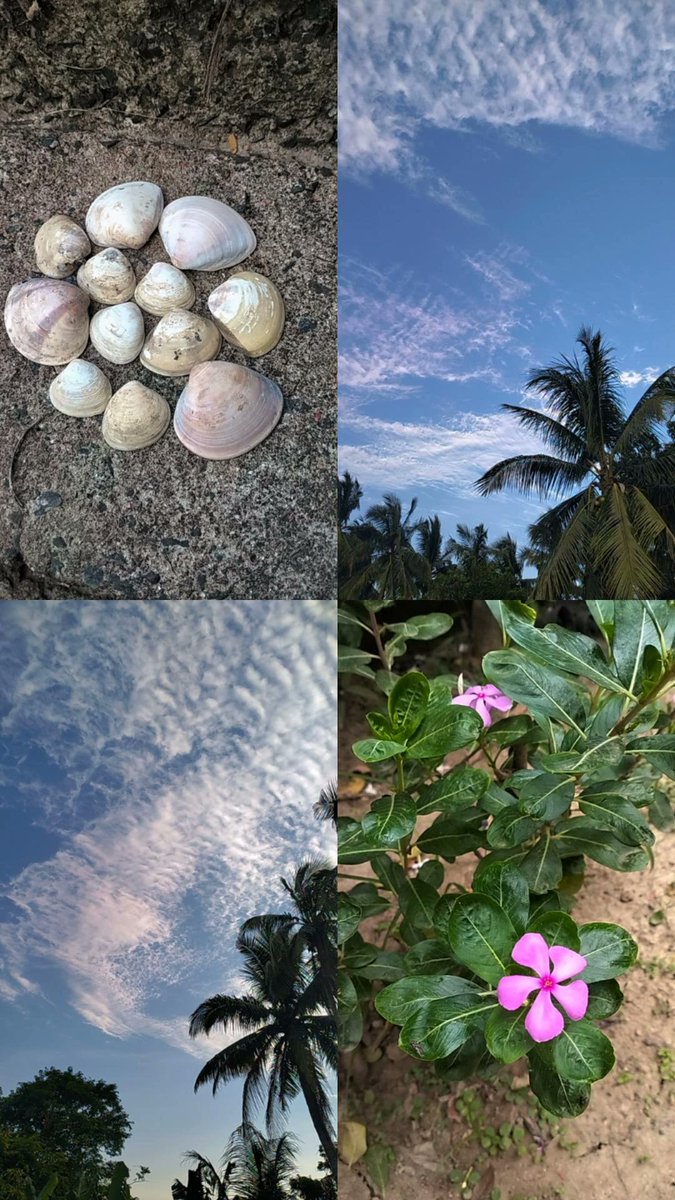 ତୁମେ ଗୋ ସେଇ?
 ଆଦ୍ୟ ଆଷାଢ଼ର ଭସା ଭସା ନୀଳ ମେଘେ
 ଜୀବନକୁ ନେଉଚ ଭସେଇ 
ଆଉ କ୍ଷଣ ମାତ୍ରେ ଦେଖା ଦେଇ 
ଶୂନ୍ୟରେ ଯାଉଛ ଉଭେଇ 
ଆଉ ଅଜଣା ଚଢ଼େଇ ହୋଇ 
 ଉଭେଇ ଯାଉଛ ଚିଲିକାର ବକ୍ଷ ସ୍ଥଳରେ 
ମେଘର ମହ୍ଲାର ଗାଇ ଗାଇ 
ଆଉ ମୋତେ ପହିଲି ଶ୍ରାବଣ ରେ
ଖସଡ଼ା ସଡ଼କରେ ଏକା ଛାଡ଼ି ଦେଇ
 ଆଉ ସ୍ମୁତି ଭାବେ ରହିଯାଇ 
ଆଷାଢୀ ଆଖି ପଲକରେ କଜଳ ହୋଇ.