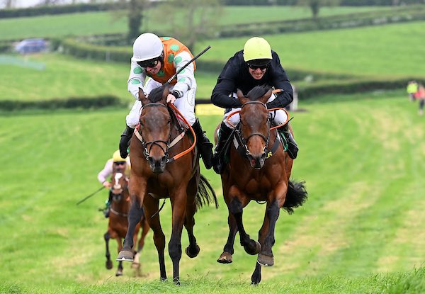 Irish QR Association (@qrirish) on Twitter photo The last regional (south) title has been shared between <a href="/bononeill1/">Barry O Neill</a> & <a href="/jamie_scallan1/">Jamie Scallan</a> with 15 winners each both riders will be presented <a href="/GAINEquine/">GAIN Equine Nutrition</a> P2P awards on June 7 <a href="/NewparkHotel/">NewparkHotelKilkenny</a> tickets π eventlist.store/irishnationalhβ¦ The last regional (south) title has been shared between <a href="/bononeill1/">Barry O Neill</a> & <a href="/jamie_scallan1/">Jamie Scallan</a> with 15 winners each both riders will be presented <a href="/GAINEquine/">GAIN Equine Nutrition</a> P2P awards on June 7 <a href="/NewparkHotel/">NewparkHotelKilkenny</a> tickets π eventlist.store/irishnationalhβ¦