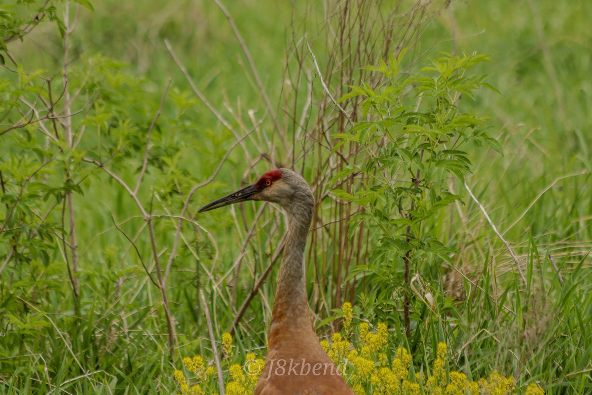jake bender tweet media