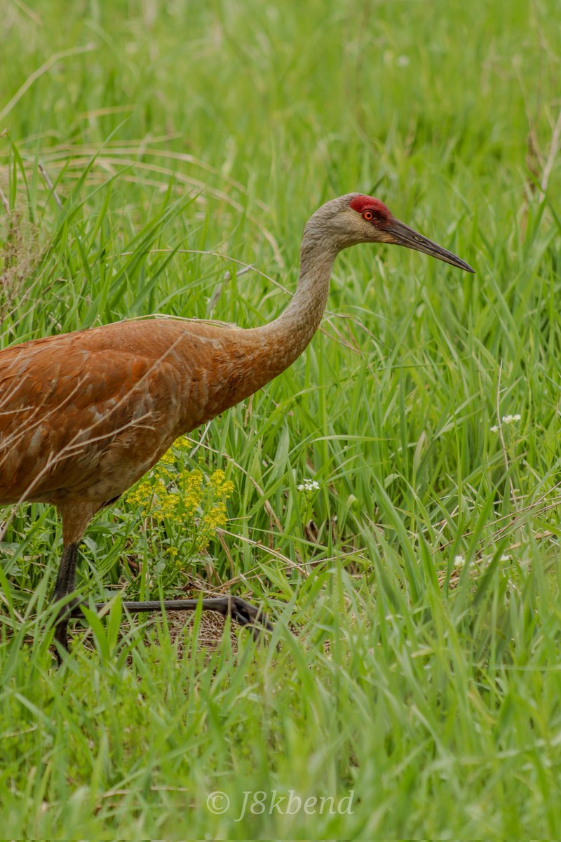 jake bender tweet media