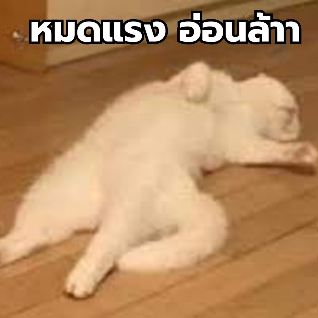บอกได้คำเดียวว่า "หมดสภาพ"😵‍💫

#ILoveALotOfYouEP2
<a href="/mynameisnanon/">NANON</a>