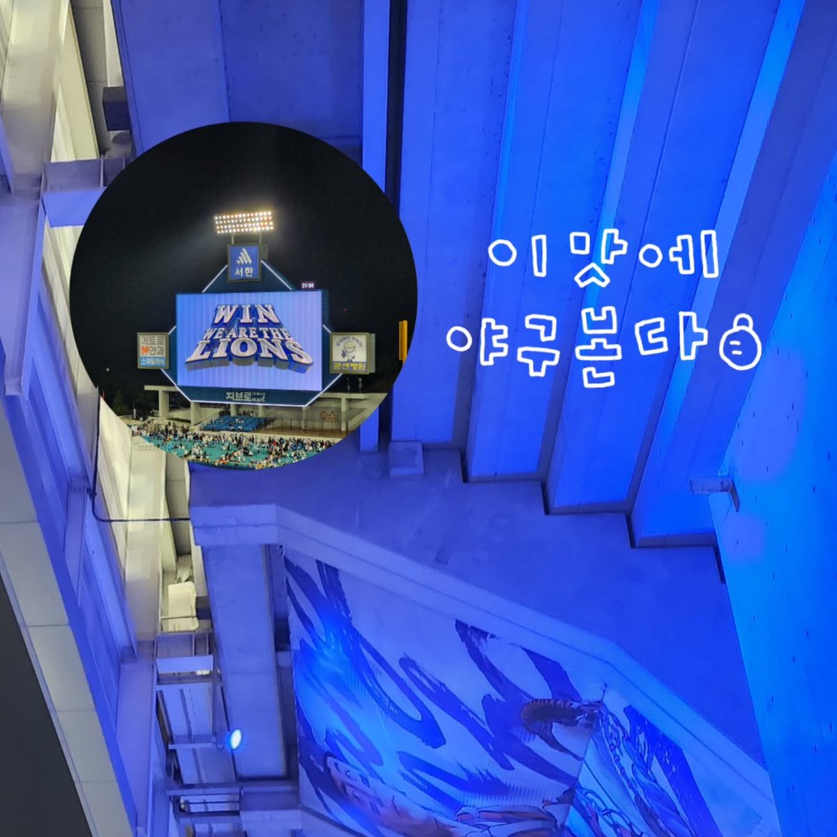 ryuxccx's tweet photo. 다시 승~요 👍🏻💙💙 https://t.co/qfRqy5hldl