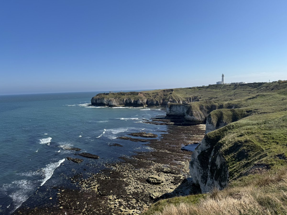 _xjules's tweet photo. Such a beautiful place 😍☀️🌊 #flamboroughcove #selwicksbaygorse https://t.co/K8Raj2ih7y