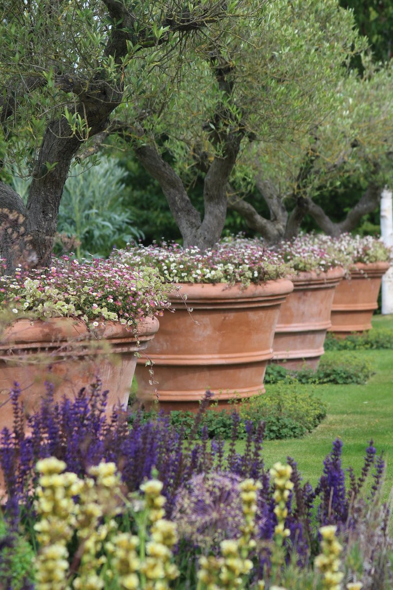 Stephen the gardener tweet media