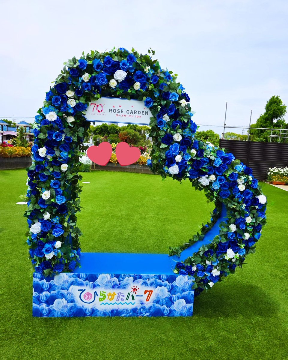 onosihc's tweet photo. ユニバに行かずに他の所ばっかり遊びに行ってるよーーーだから全然浮上してなかったのです🫠
それはそれとしてひらパーの薔薇園綺麗だった🫶
ユニバ以外も気にせずツイートして良いか？良いよね？☺️ https://t.co/KCcp3QJLpm