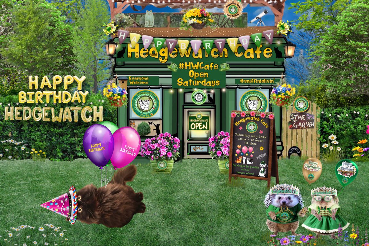 #EffOffElon 😾 You’ve tried to break our #Hedgewatch birthday celebrations at #HWCafe today 😾
Well humph you! Get up Doris! We’ve got partying to do before we all fall over again 🥂 🥂 🎉🎉😹😹