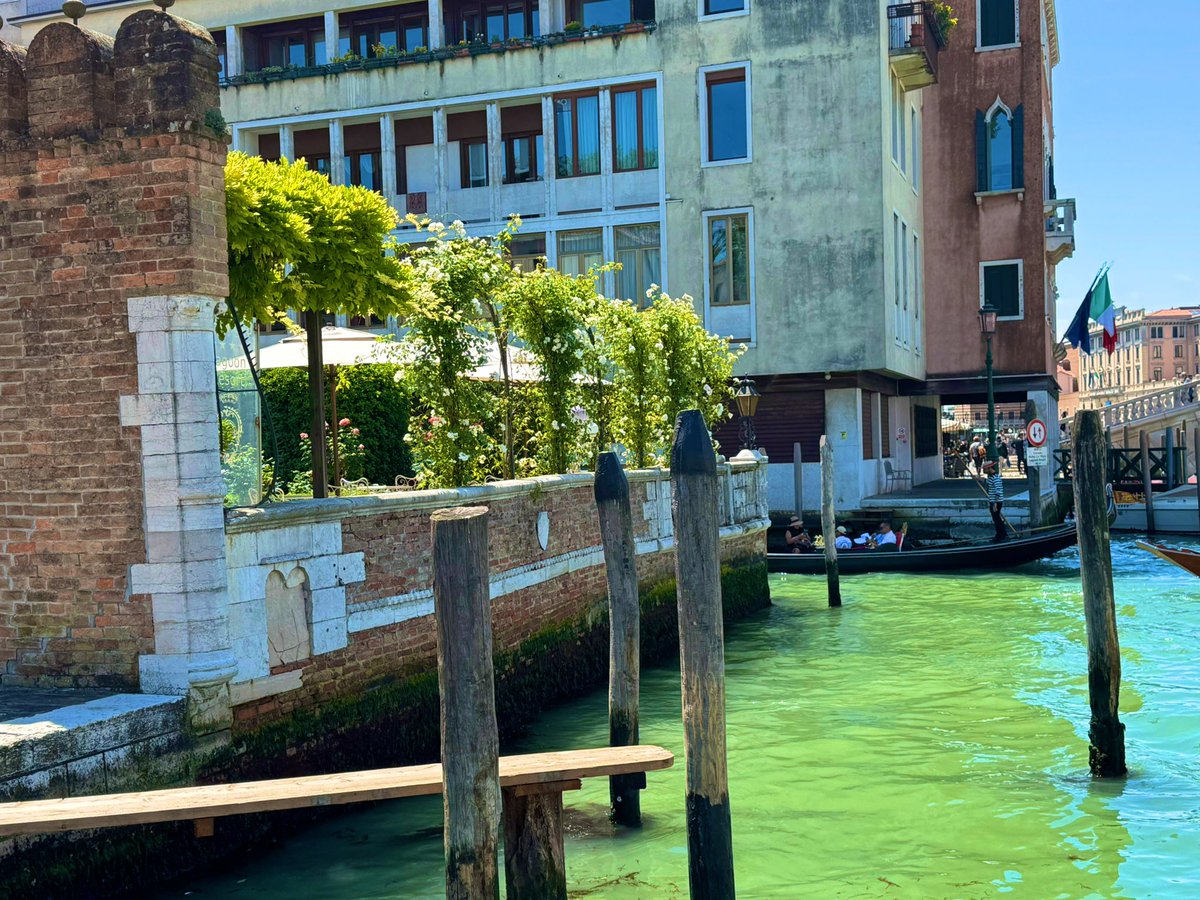 姫屋支店
実は初めて来ました♪
#ARIAカンパニー