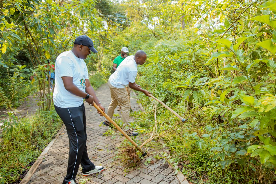 Did you know?

On #BiodiversityDay2025, ARCOS members are taking action at #NyandunguEcoPark!  Invasive species like Lantana camara threaten Rwanda’s ecosystems. By removing them, we’re giving indigenous species space to thrive. 
#ARCOS30Years #HarmonyWithnature