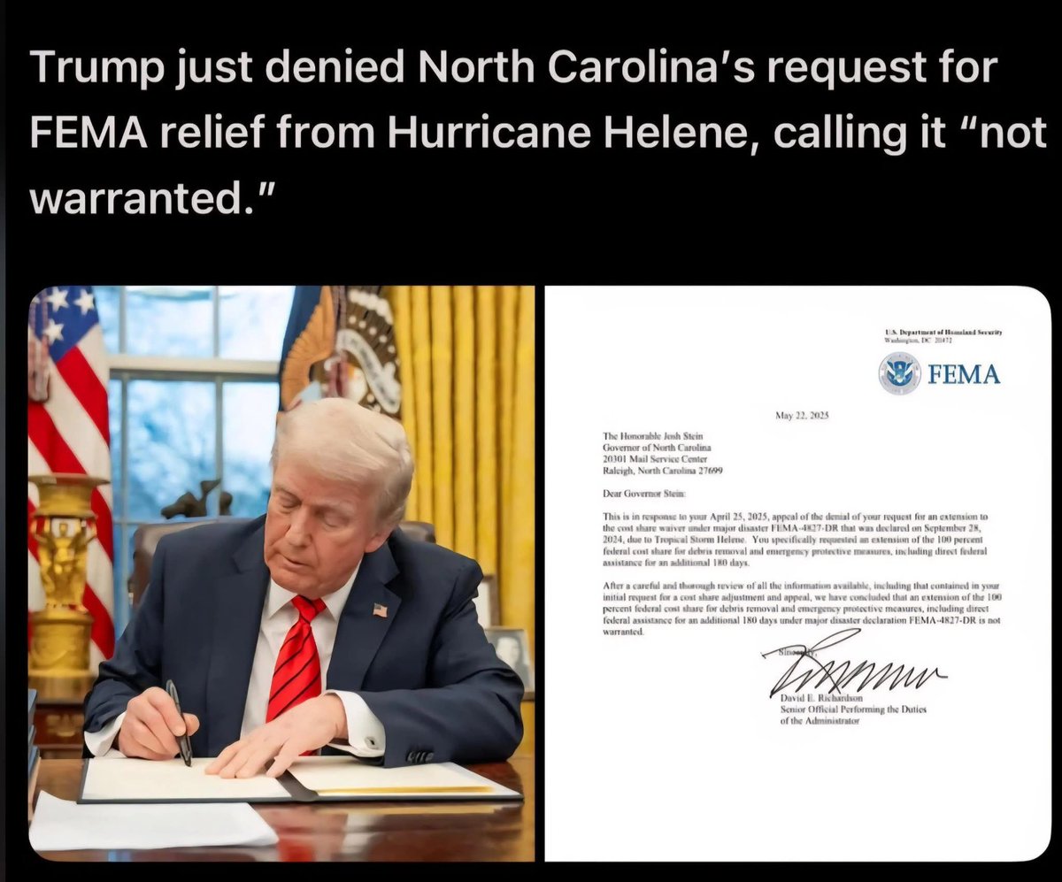 SB's Artistrees tweet media