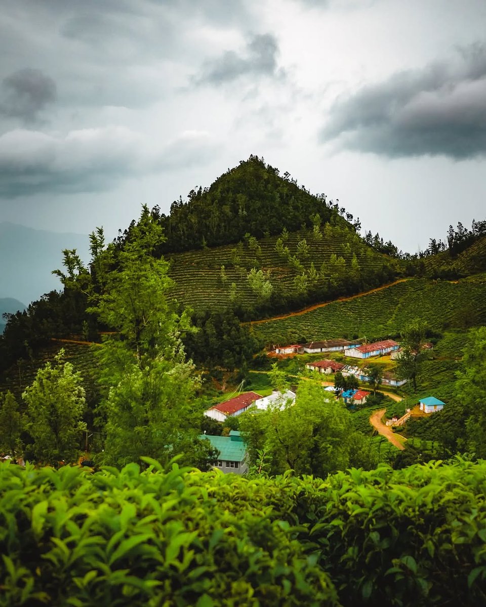 imVarsha18's tweet photo. A beautiful village in Kerala ❤️
♥️🙂
Rt
#NatureBeauty #BeautifulLandscape
#PeaceAndLove #kerla #TamilNadu
#INDvsENG #India #TestCricket #TeamIndia #yogiadityanath
#mmodi #TATAIPL2025 #Gill #Virat
@BCCI #TwitterDown FEMA Twitter X https://t.co/gWeoL96e5A