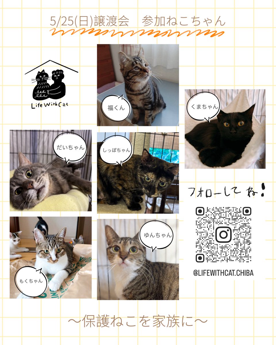 LifeWithCat1's tweet photo. 明日は譲渡会です！
皆様のお越しをお待ちしております☺︎

第172回Life With Cat『ねこの譲渡会』
日時：5月25 日（日曜日）
12:00〜14:00
場所：三毛猫雑貨店
〒263-0023
千葉県千葉市稲毛区緑町1-22-10 1階
JR総武線西千葉駅&amp;京成千葉線みどり台駅より徒歩5分ほど。 https://t.co/qGTfQadDne