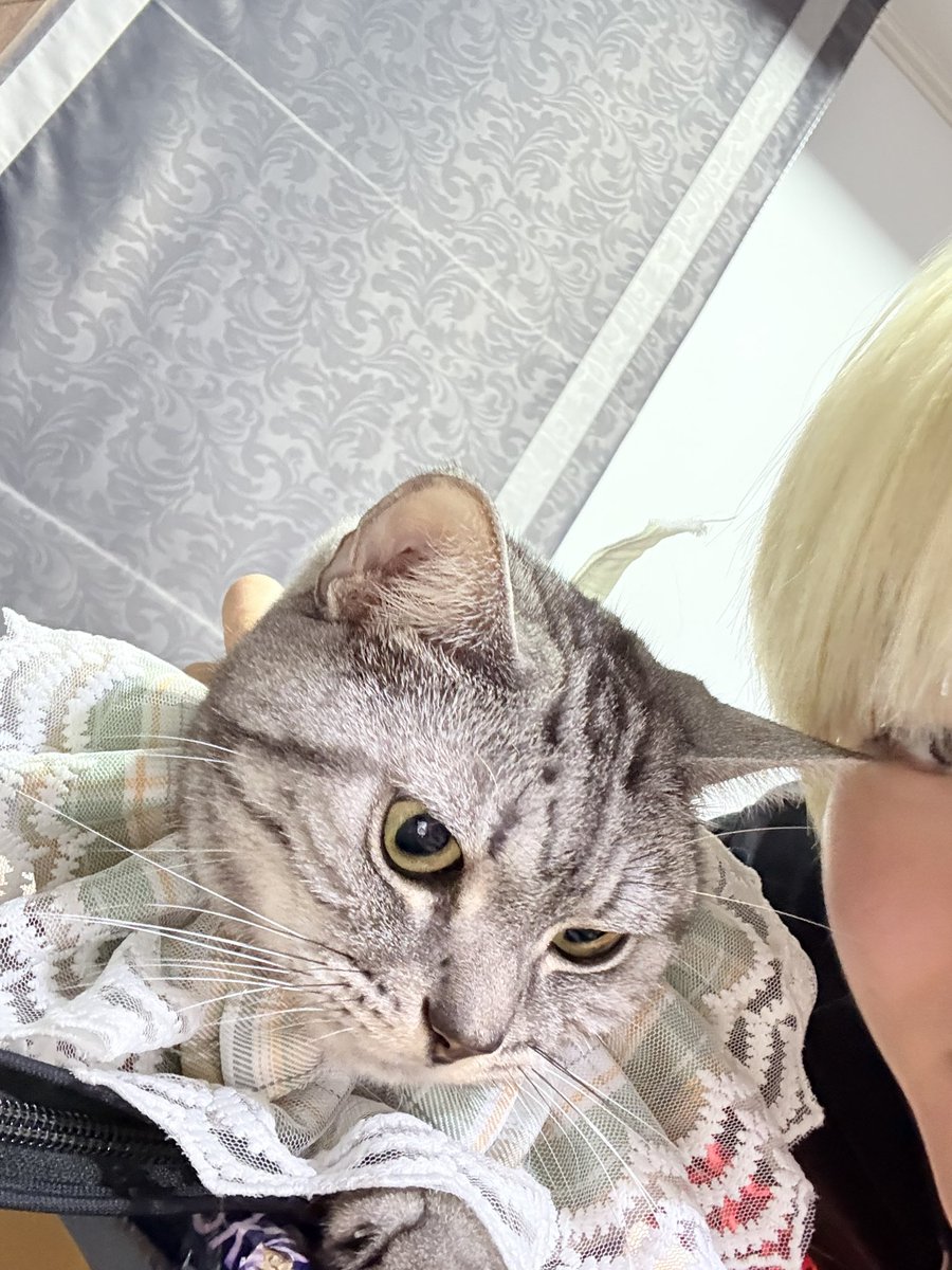 พิจูก็อยู่น้า แต่คงไม่ดู 55555
TNP THE ROYAL BALL
#TheNextPrinceEP4