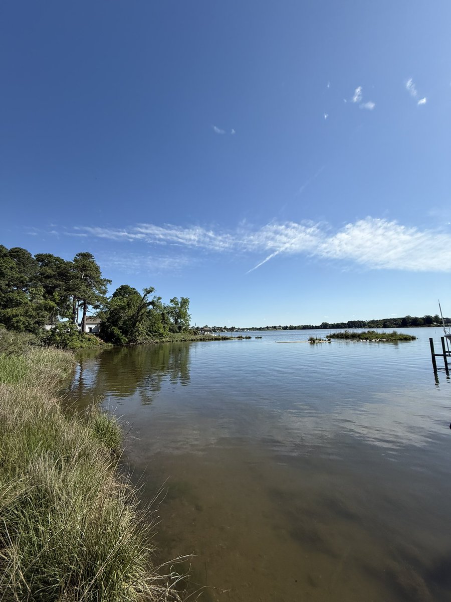 More of this please 💙💙💙#northernneck