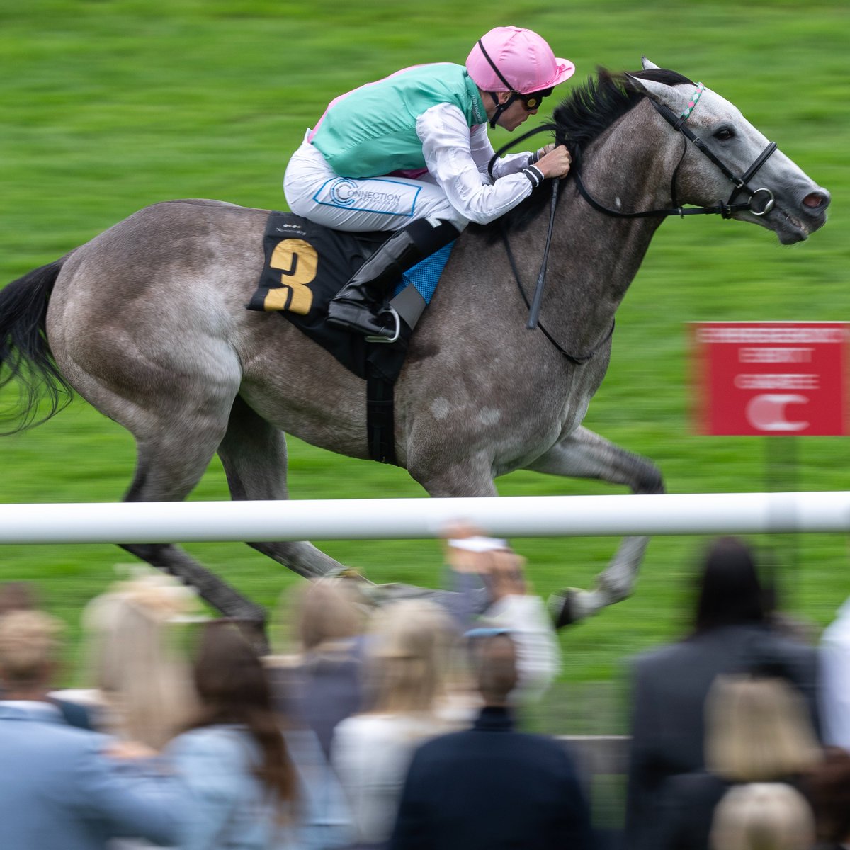FIELD OF GOLD WINS THE IRISH 2,000 GUINEAS 🎉
