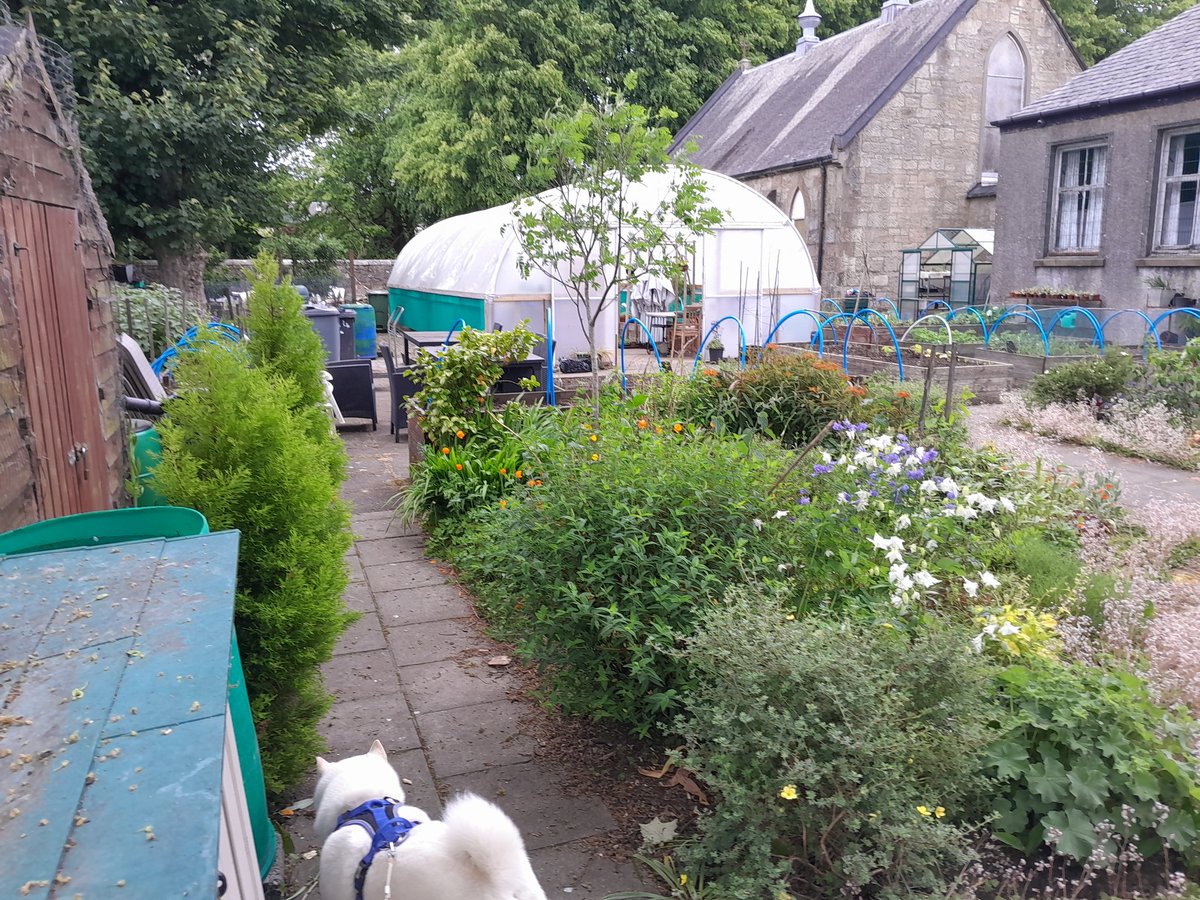 More pictures of the Lochwinnoch community garden.
LDT bought the old Church plus attached buildings. So much can be achieved when ALL the community pull together.