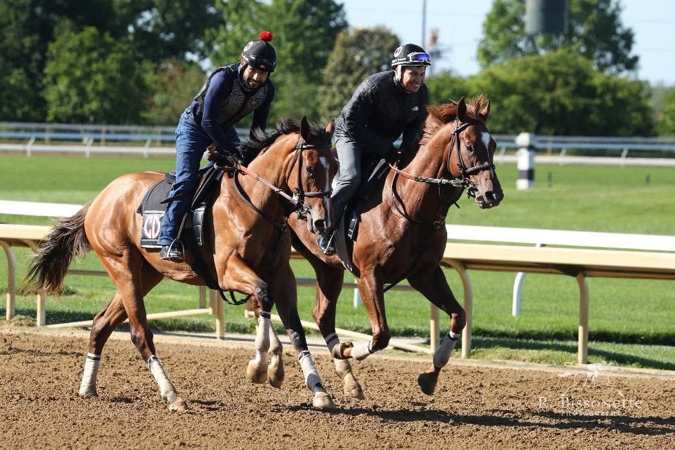 Haphazard Racing Inc. tweet media