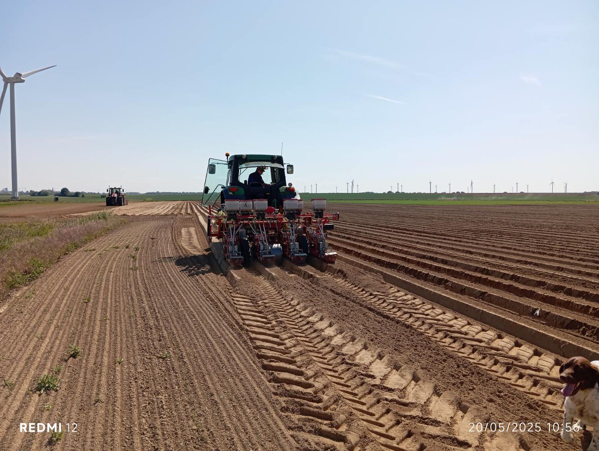 CfppaLeParaclet's tweet image. Zoom sur la semaine  des BTSA ACD du Paraclet &amp;amp; de Caulnes, venus découvrir les spécificités des systèmes de production en #HautsdeFrance.  Mardi matin : Visite de La belle d’Armancourt dans le Santerre.  1 exploitation spécialisée en production de carottes &amp;amp; de betteraves rouges