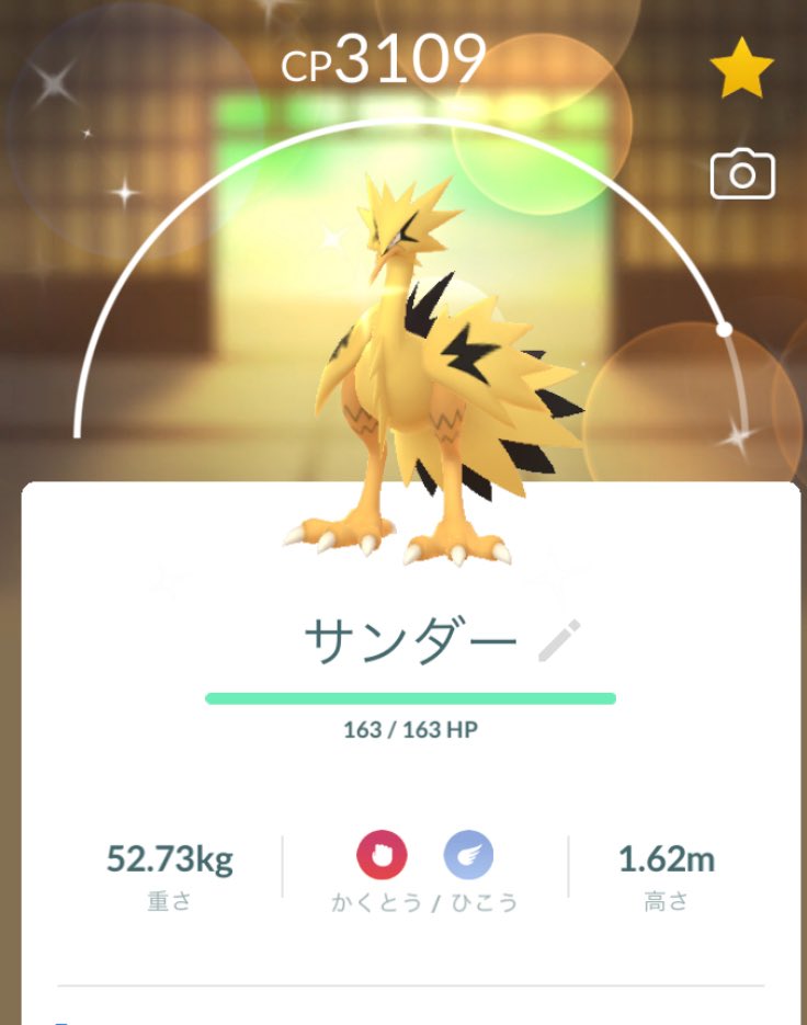 nadecom1's tweet photo. GOゆるゆる勢でもミラクルおきた！生きててよかった！
#ポケモンGO
#ガラルサンダー https://t.co/cdrx8R75UC