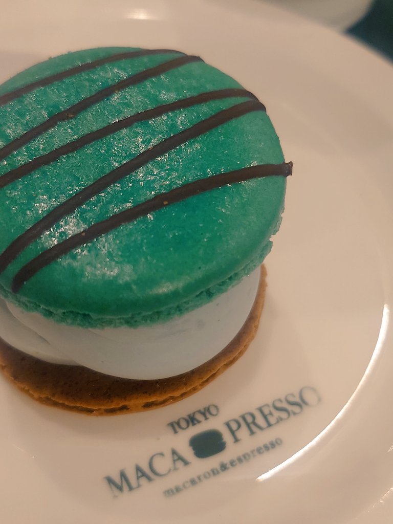 東武でチョコミントフェアもやってるし、この時期発売する商品多いから全部買いそうになる…
これは偶然行ったカフェのチョコミントマカロン
チョコミン党は健在です笑