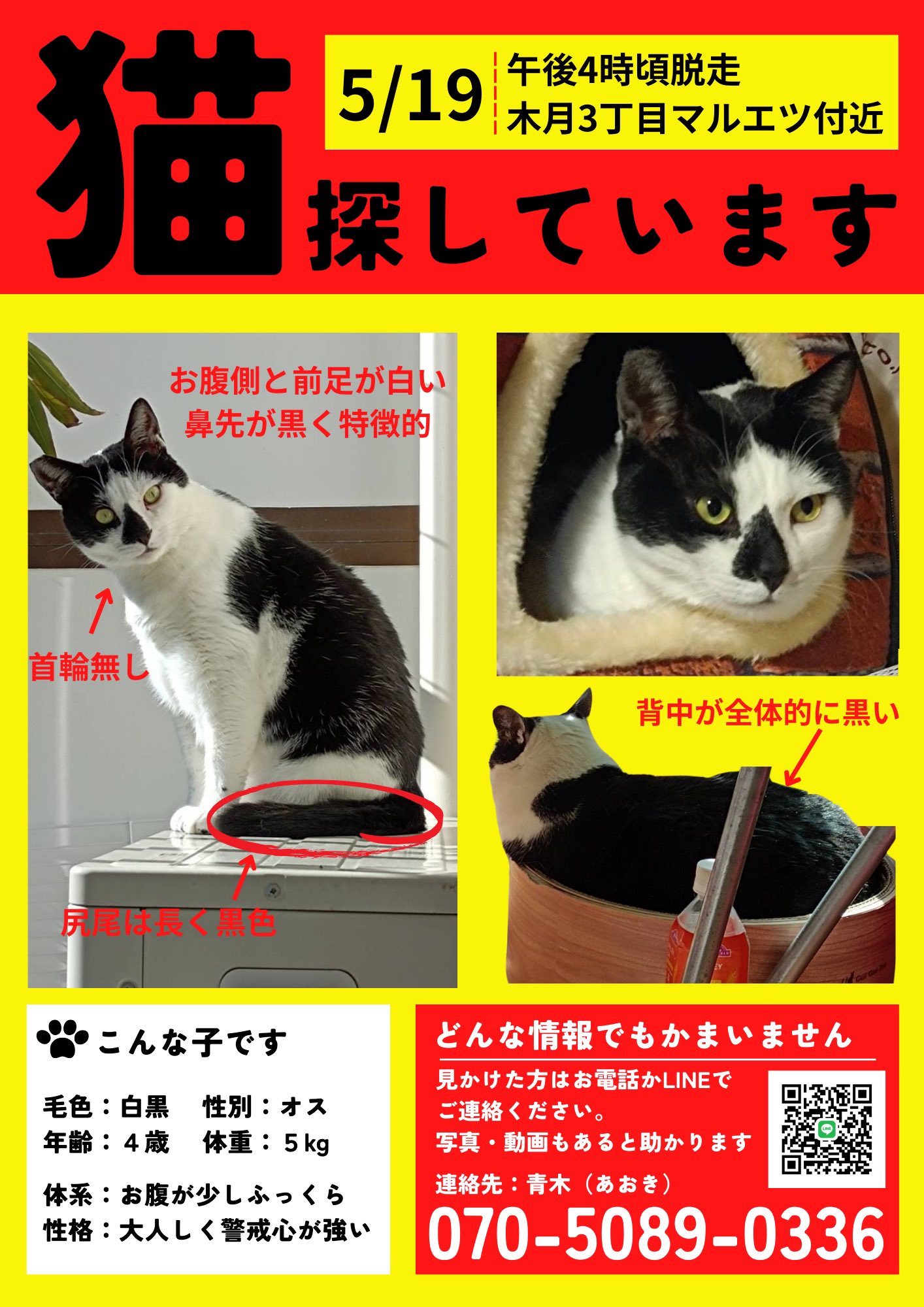 ちりめん丸猫＃1 チップ | わちふぃーるどオンラインショップ