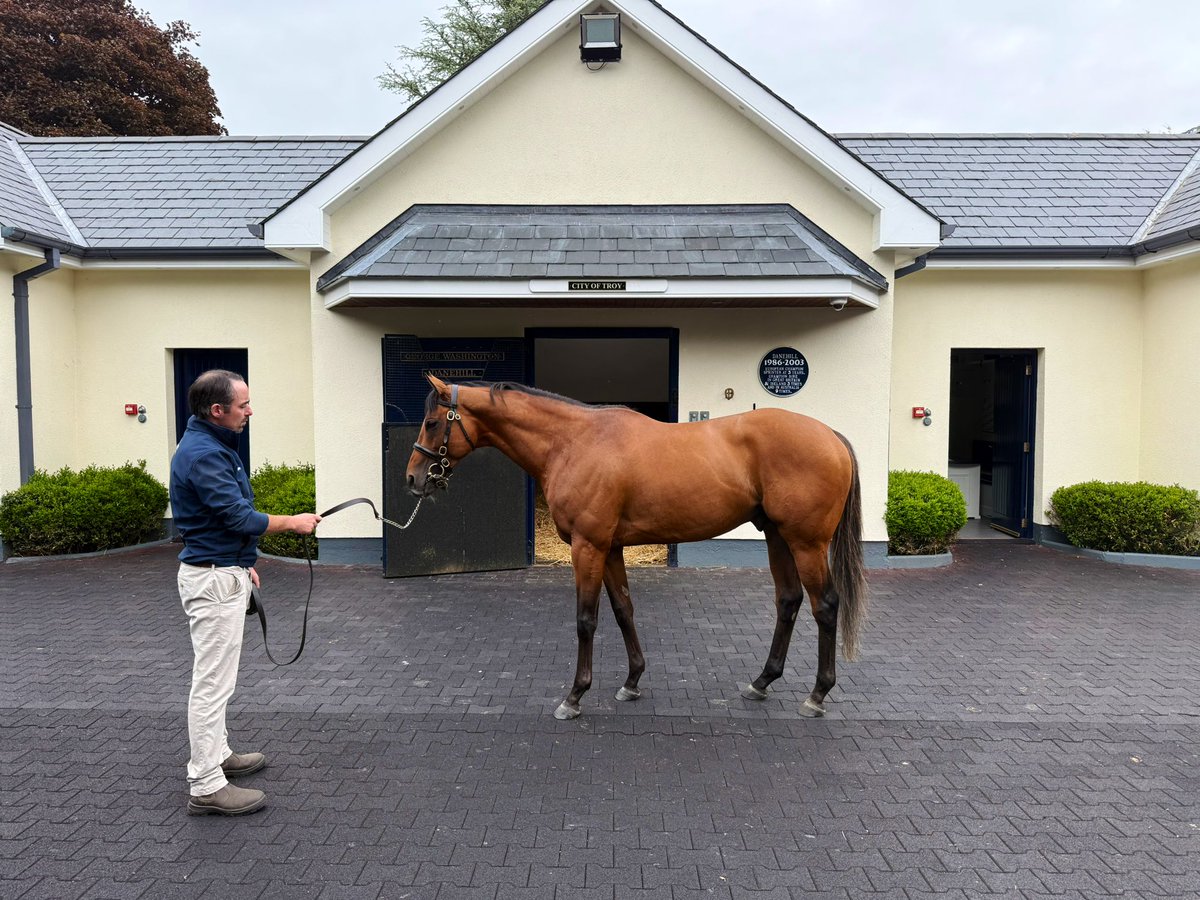 Exceptional morning touring <a href="/coolmorestud/">Coolmore</a> which is absolutely singular in its class and beauty. Thanks <a href="/niallscott419/">Niall Scott</a> for the show.
We saw the full slate but a couple stole the show for us. Churchill, sire of our G2 winning Poolside with Slim. And City of Troy, 🤩