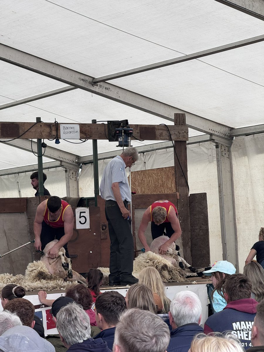 Lovely afternoon at the #NorthumberlandCountyShow with <a href="/Ross_Hutchinson/">Ross Hutchinson</a> &amp; <a href="/IanPayneITV/">Ian Payne</a> (plus extra paws for company! 🐾)