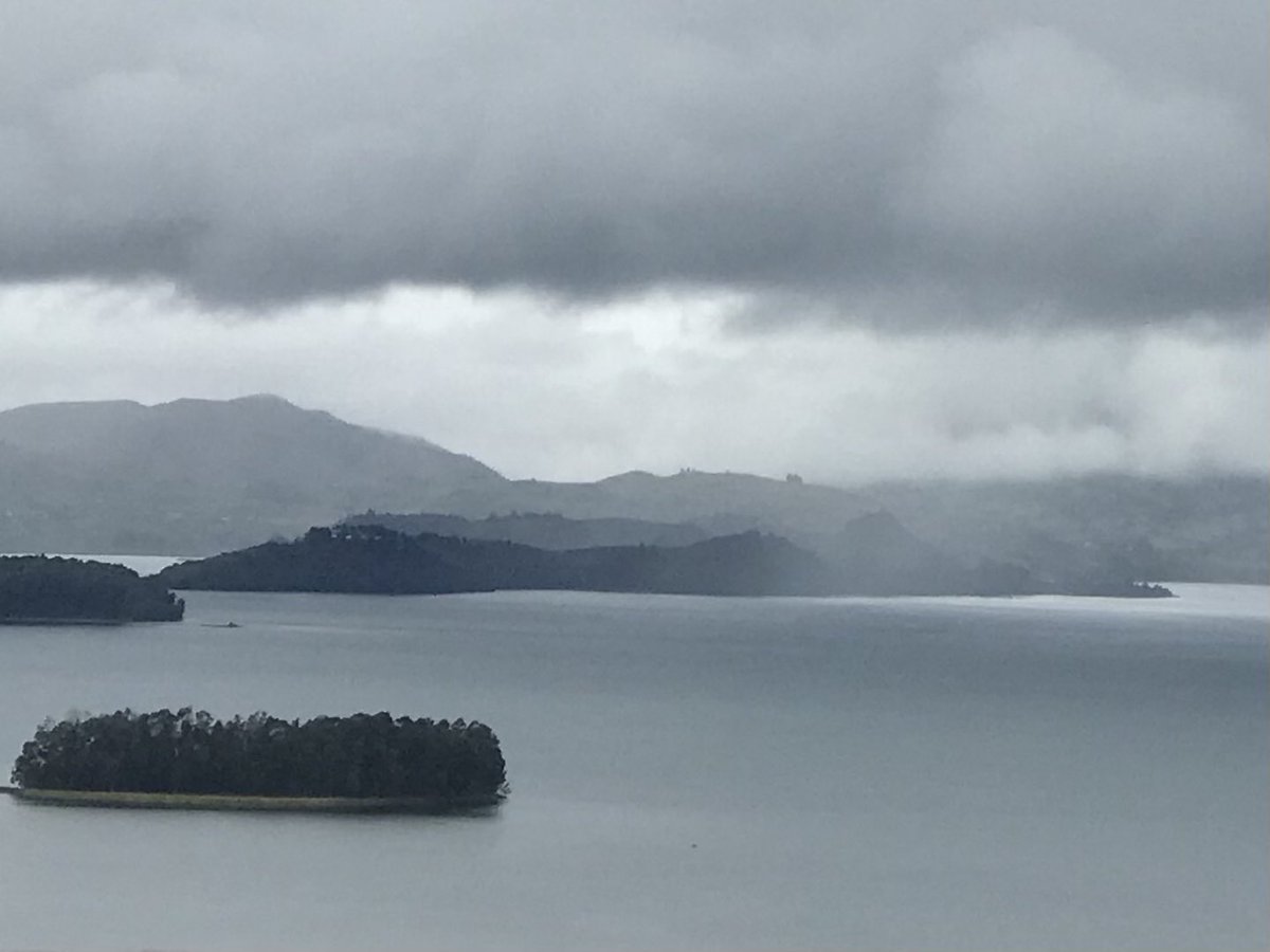 Carlos Lasso tweet media