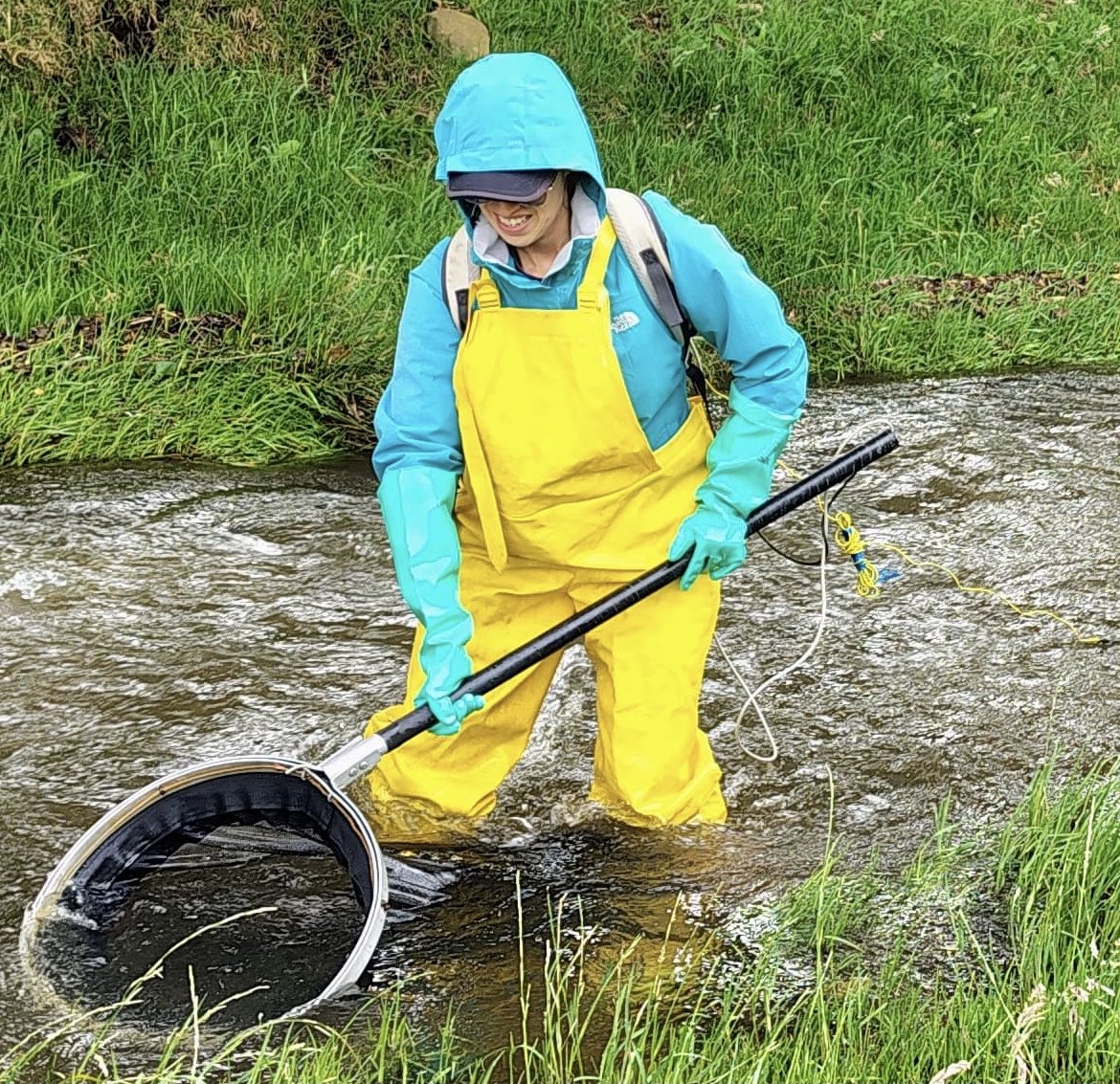 Carlos Lasso tweet media