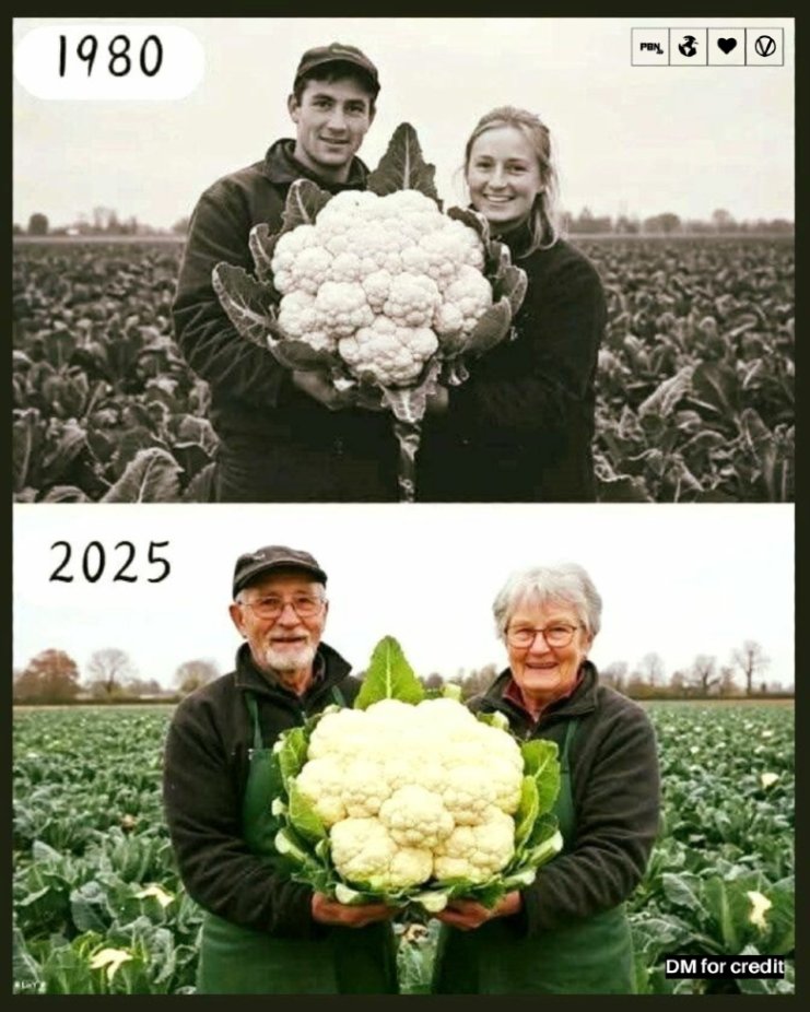 Couple goals 🌱 ❤️

DM for credit.