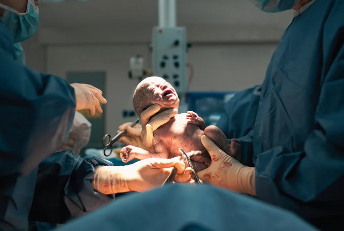 Image in tweet by The Vigilant Fox 🦊