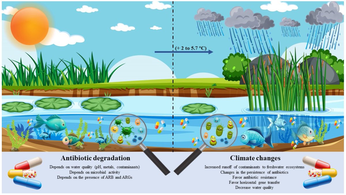 Water_MDPI's tweet image. 🧬🌡️ The Convergence of #AntibioticContamination, #Resistance, and #ClimateDynamics in #FreshwaterEcosystems

✍️ Marcelo Pedrosa Gomes

🔗 brnw.ch/21wSTPR