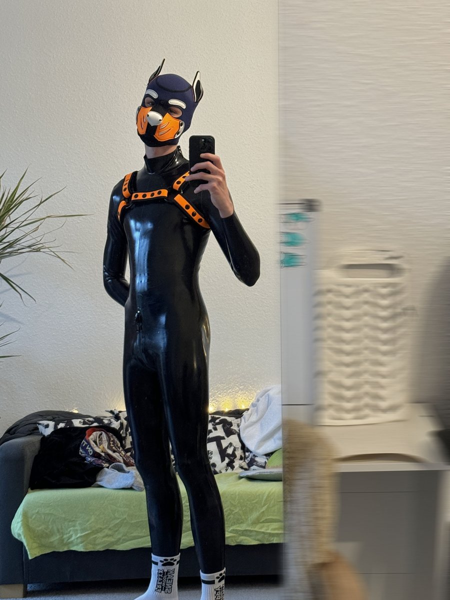 Drop your first order for your rubber pup ⬇⬇⬇