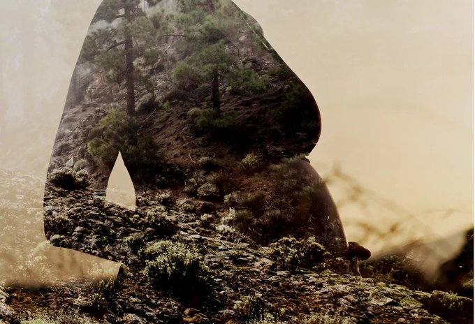 Image in tweet by The Vigilant Fox 🦊