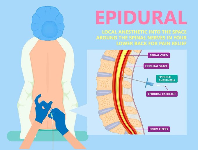 Image in tweet by The Vigilant Fox 🦊